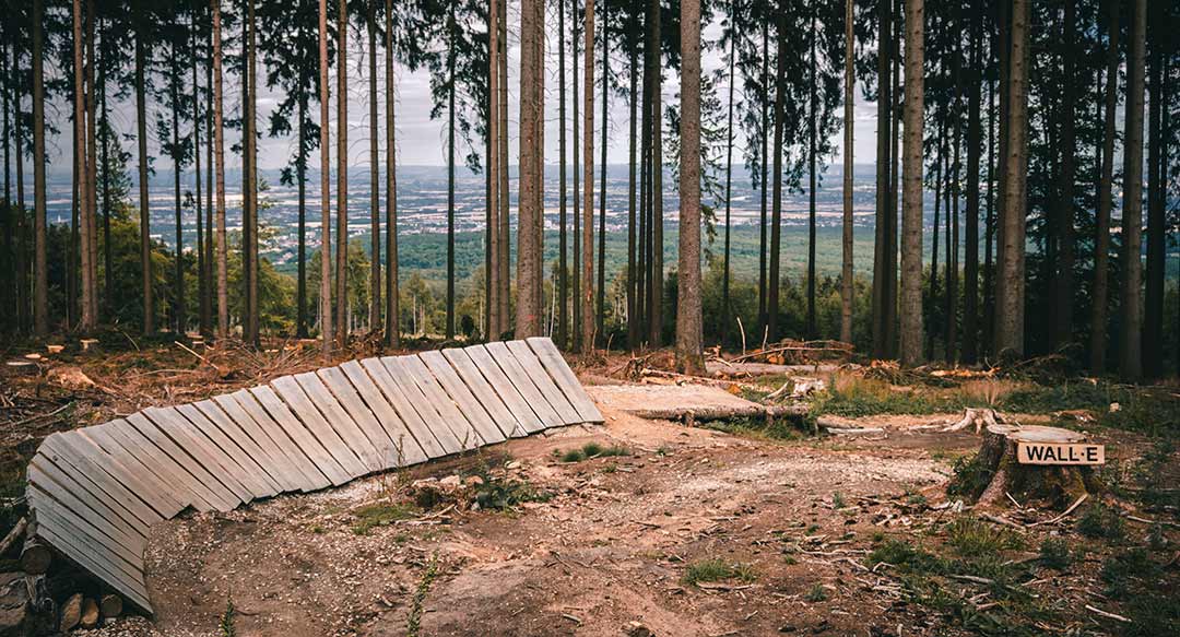 Strecke Bikepark Feldberg Taunus