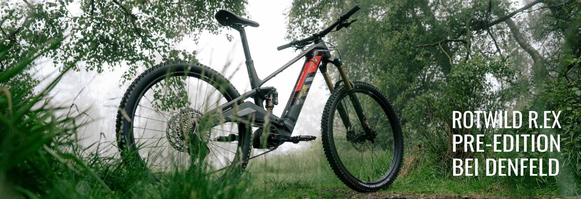 Rotwild R.EX Pre-Edition bei DENFELD