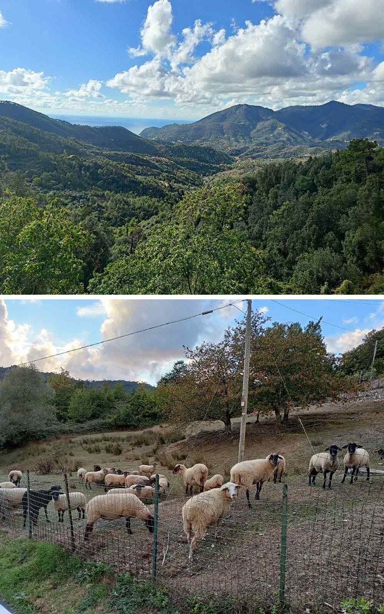Impressionen Gravel-Abenteuer Lukas 1