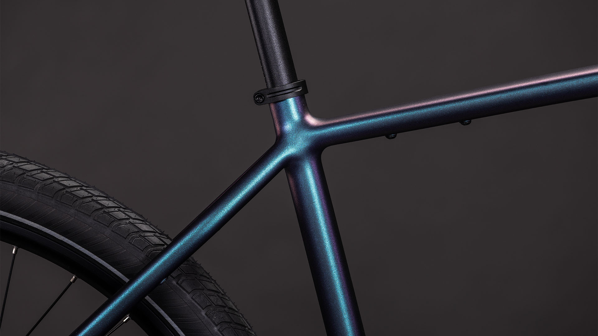 Cube Editor SLX ammolite´n´reflex 2026