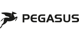 Pegasus Pegasus